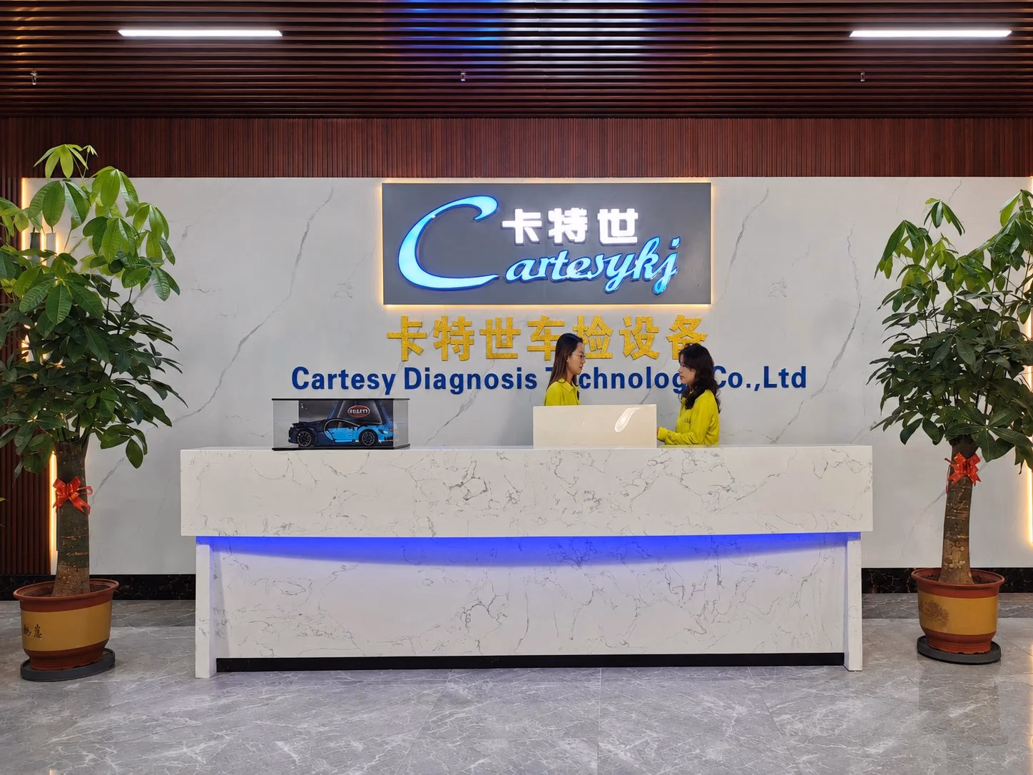 Company profile